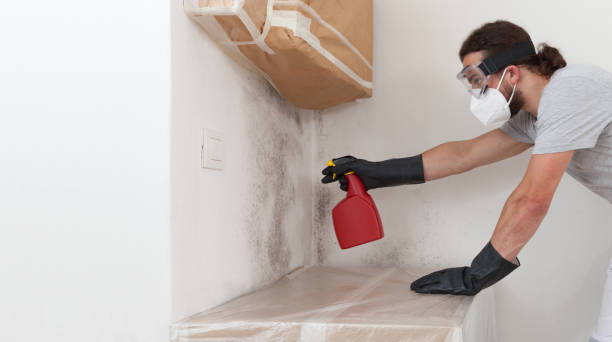 Professional Mold Inspection And Testing technician working in Edenton, NC