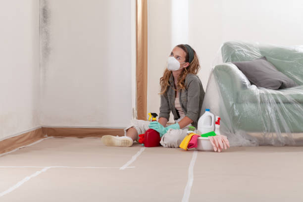 Reliable Mold Inspection And Testing contractor in Edenton, NC by Mold Remediation HQ
